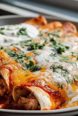 High Protein Chicken Enchiladas – Lecker & Nahrhaft genießen!